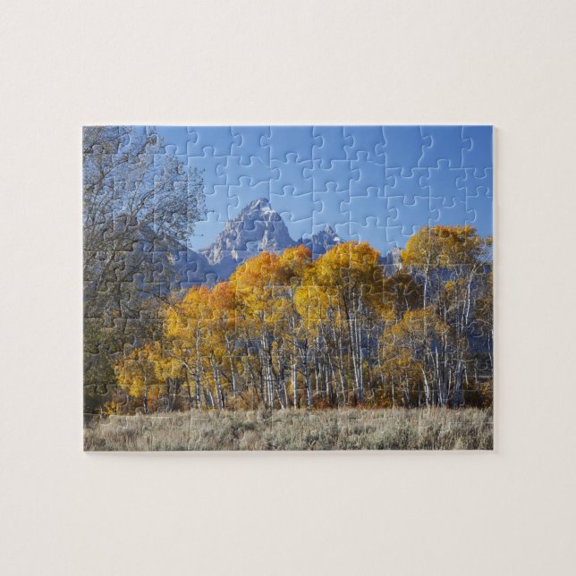 Puzzle Álamos con la cordillera Teton (Horizontal)