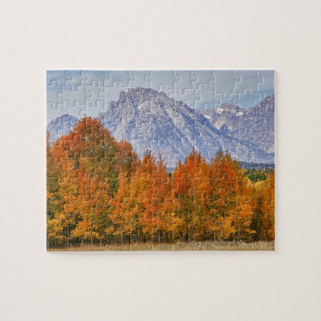 Puzzle Álamos con la cordillera Teton (Horizontal)