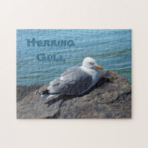 Puzzle Alarma de gaviotas arenques en Rock Jetty: