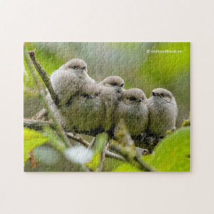 Puzzle Alarmante foto de la familia Songbirds de los anim