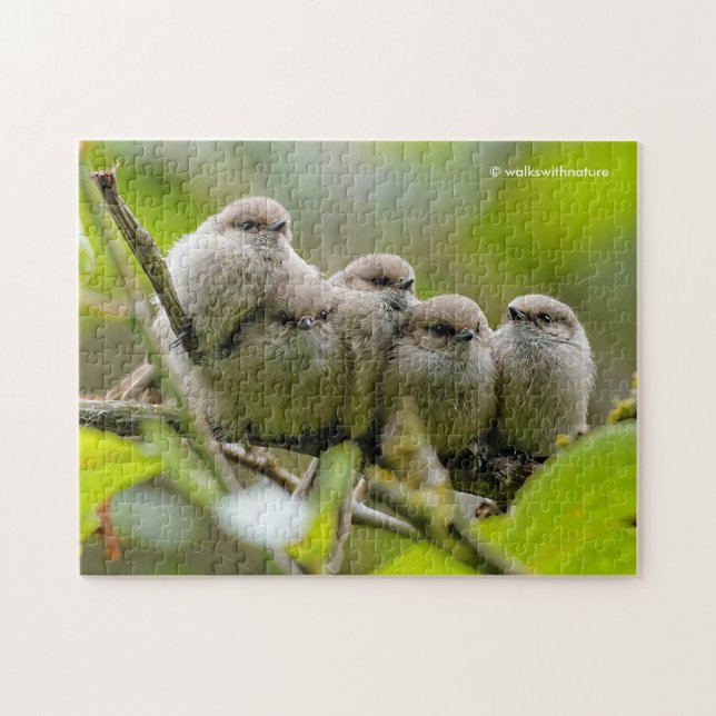 Puzzle Alarmante foto de la familia Songbirds de los anim (Horizontal)