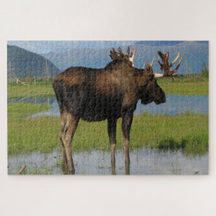 Puzzle Alaska Bull Moose Con Antenas De Cremallera Escena