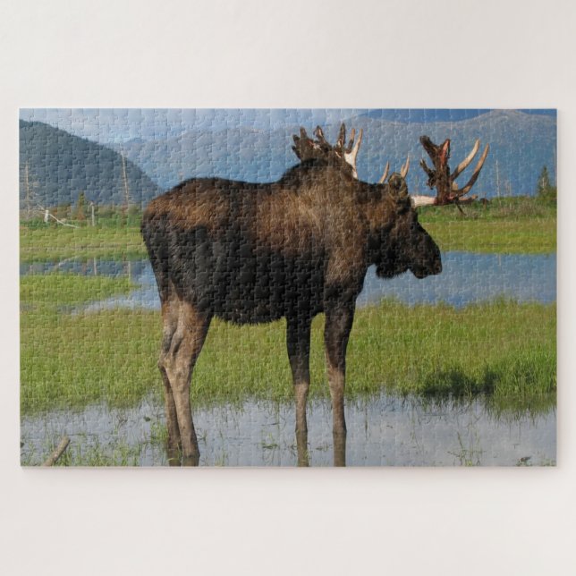 Puzzle Alaska Bull Moose Con Antenas De Cremallera Escena (Horizontal)