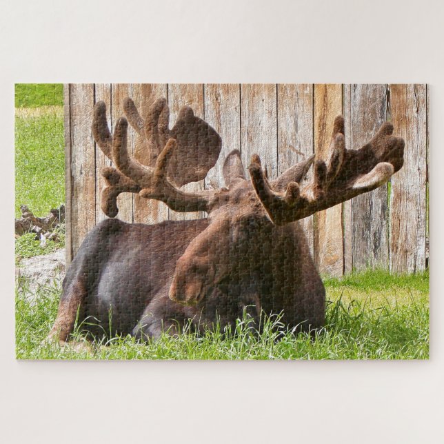 Puzzle Alaska Moose (Horizontal)