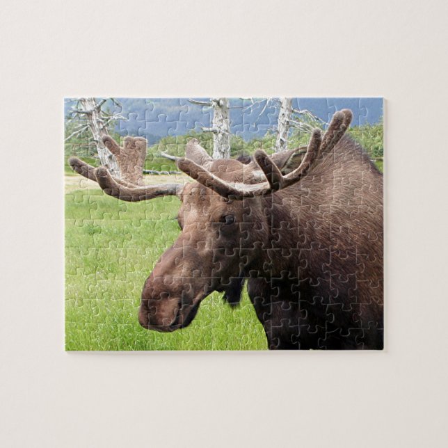 Puzzle Alaska moose 1 (Horizontal)
