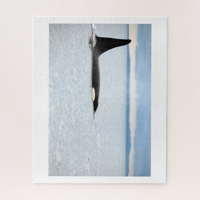 Puzzle Alaska - Orca (Vertical)