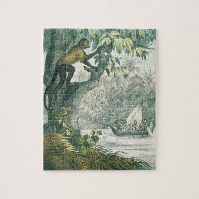 Puzzle Alcances superiores del Amazonas, del 'der del Das (Vertical)