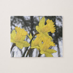 Puzzle Alcanzar hacia arriba - narcisos amarillos