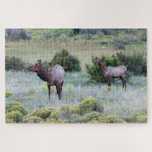 Puzzle Alce Americano Colorado