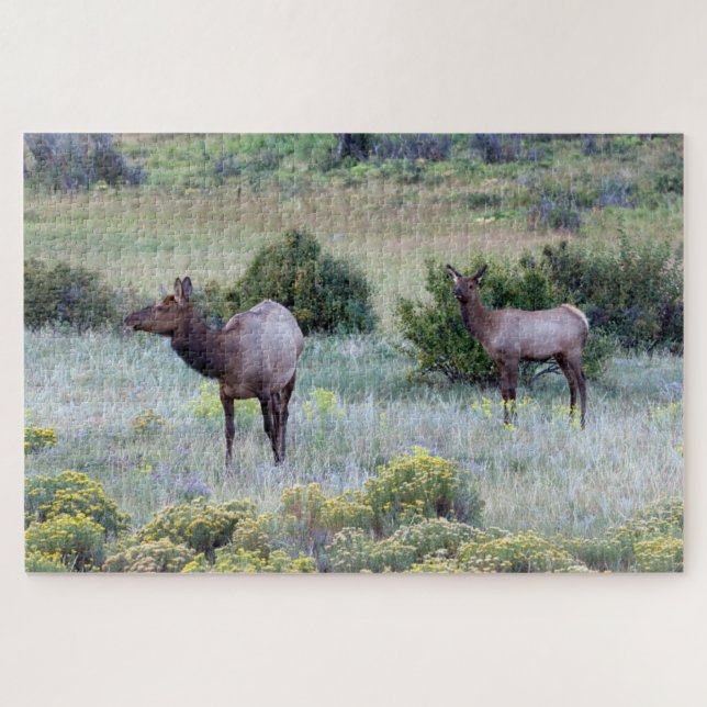 Puzzle Alce Americano | Colorado (Horizontal)