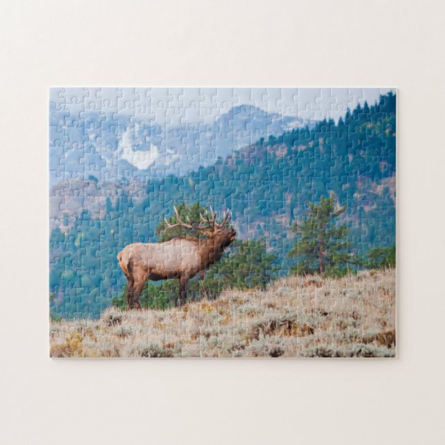 Puzzle Alce (Cervus Elephus) Bull Bugling (Horizontal)