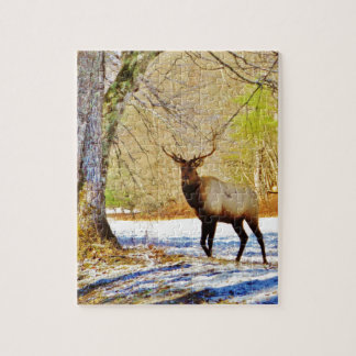 Puzzle > alce de toro frontal en Nieve