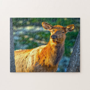 Puzzle Alce hembra Montana.
