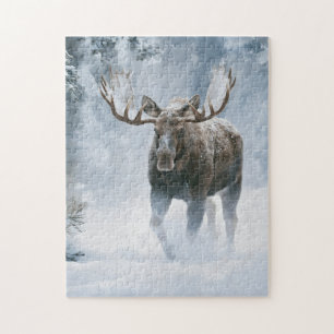 Puzzle Alce macho caminando a través de la nieve boreal