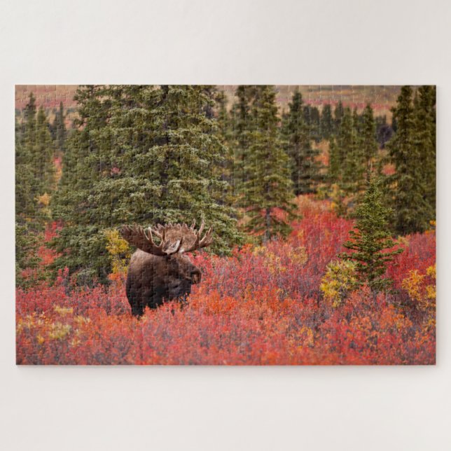 Puzzle Alce macho de pie en abedul enano rojo (Horizontal)
