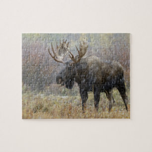 Puzzle Alce macho en tormenta de nieve con árboles de ála