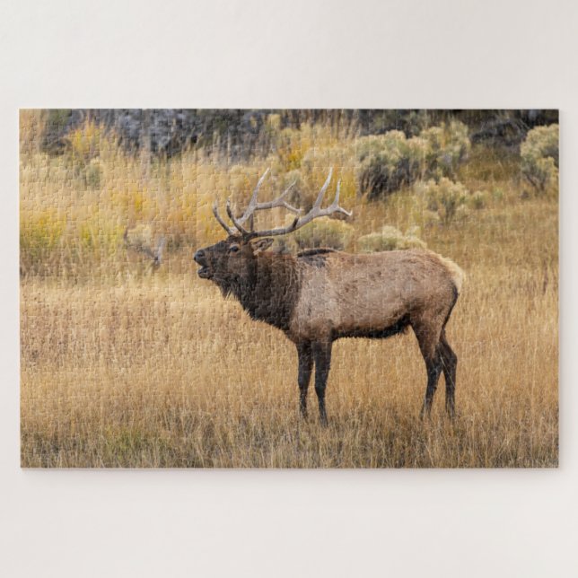 Puzzle Alce macho | Parque Nacional Yellowstone (Horizontal)