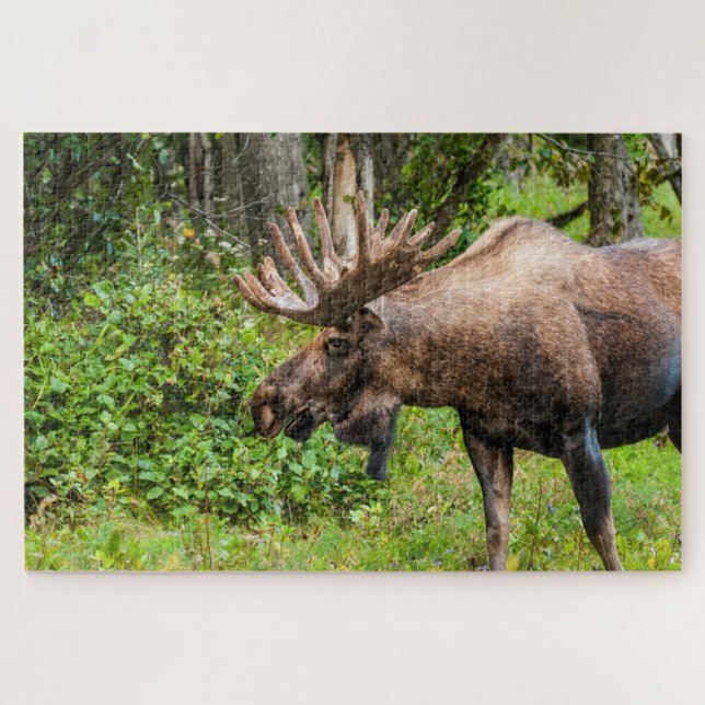 Puzzle Alce | Península de Kenai, Alaska (Horizontal)
