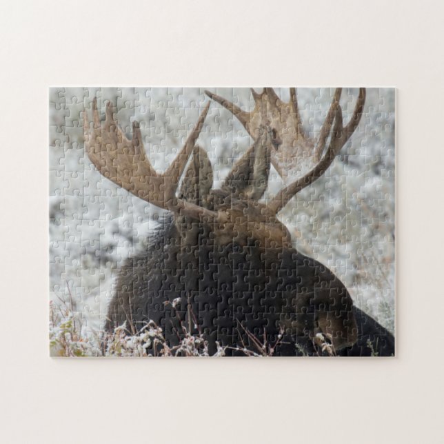 Puzzle Alce toro de Shiras (Horizontal)