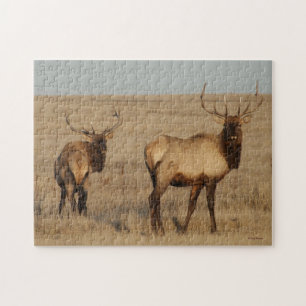 Puzzle Alce toro E1
