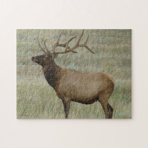 Puzzle Alce Toro E8 en Terciopelo