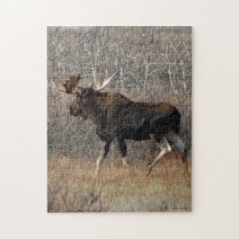 Puzzle Alce Toro M8