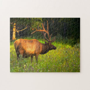 Puzzle Alce Yellowstone Montana.