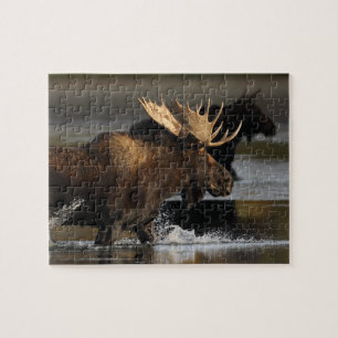Puzzle Alces