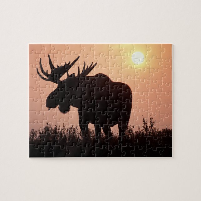 Puzzle alces, alces alces, toro con grandes cuervos, (Horizontal)