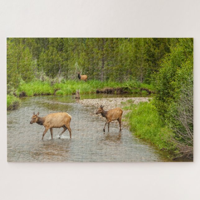 Puzzle Alces cruzando el río Colorado (Horizontal)