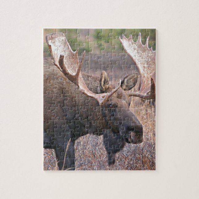 Puzzle Alces de Alaska (Vertical)