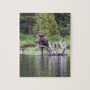 Puzzle Alces flojos
