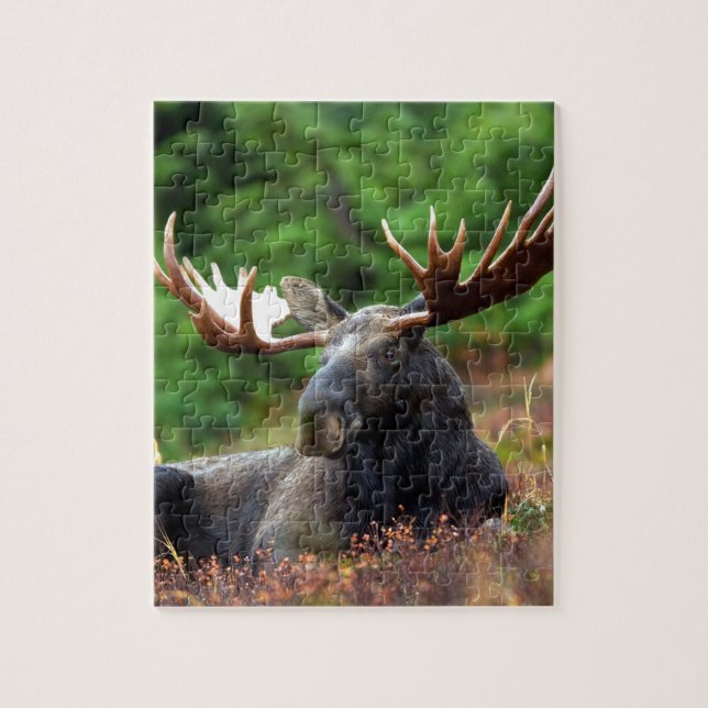 Puzzle Alces hermosos con las astas grandes (Vertical)