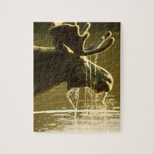 Puzzle Alces que sumergen su cabeza en el agua