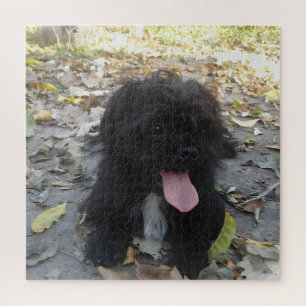 Puzzle Alerta de Cachorro Adorable