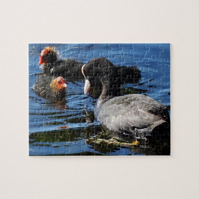 Puzzle Alimentación de bebés (Horizontal)