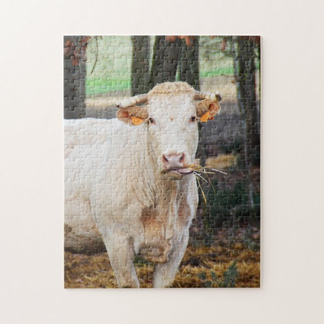 Puzzle Alimentación de vacas en Francia (Vertical)