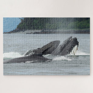 Puzzle Alimentando ballenas jorobadas