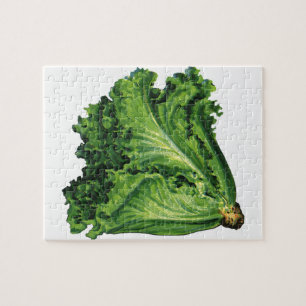 Puzzle Alimentos Antiguos, Verduras de Lechuga de Hoja Ve