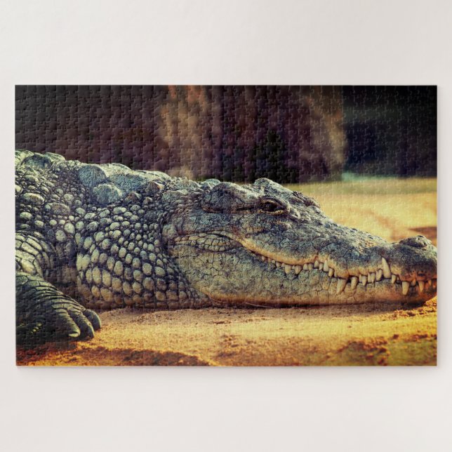 Puzzle Alligador (Horizontal)
