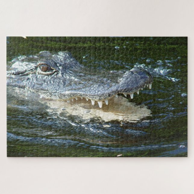 Puzzle Alligador (Horizontal)
