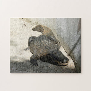 Puzzle Alligator, Fort Lauderdale, Florida
