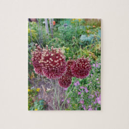 Puzzle Allium Onion Flower Plant