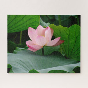 Puzzle Alma en ascenso (Lirio de Agua Rosa Ligera)