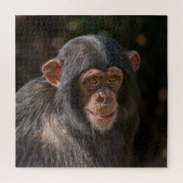 Puzzle Alma juguetona – cría de chimpancé en primer plano
