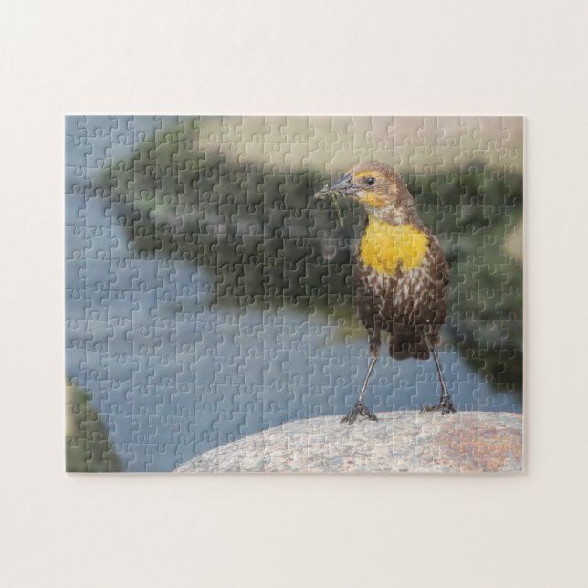 Puzzle Alondra de pradera de aves. (Horizontal)