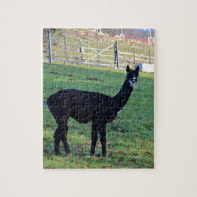 Puzzle Alpaca (Vertical)