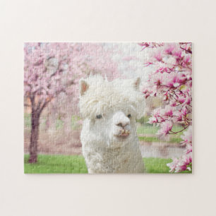 Puzzle Alpaca blanca