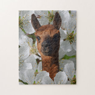Puzzle Alpaca Marrón Joven En Flores Blancas,