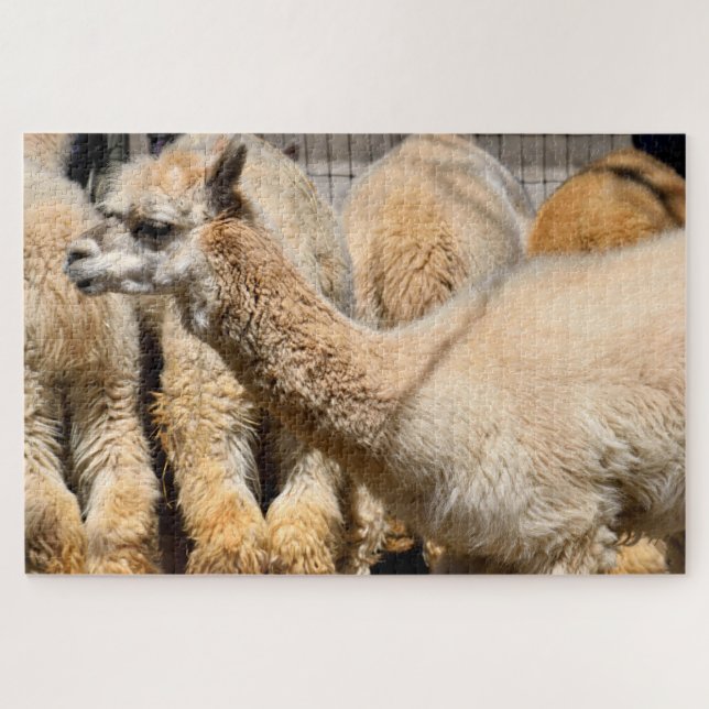 Puzzle alpacas en la granja (Horizontal)